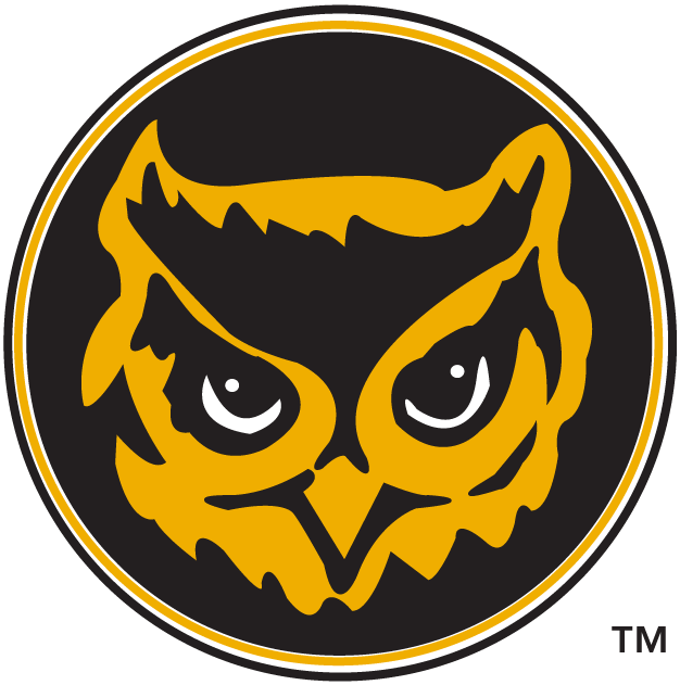 Kennesaw State Owls 1992-2011 Alternate Logo DIY iron on transfer (heat transfer)